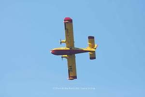 QFire582.JPG